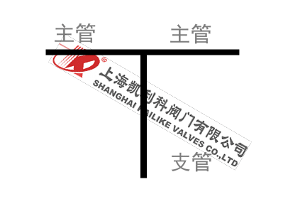 不銹鋼T型過濾器管路支管圖